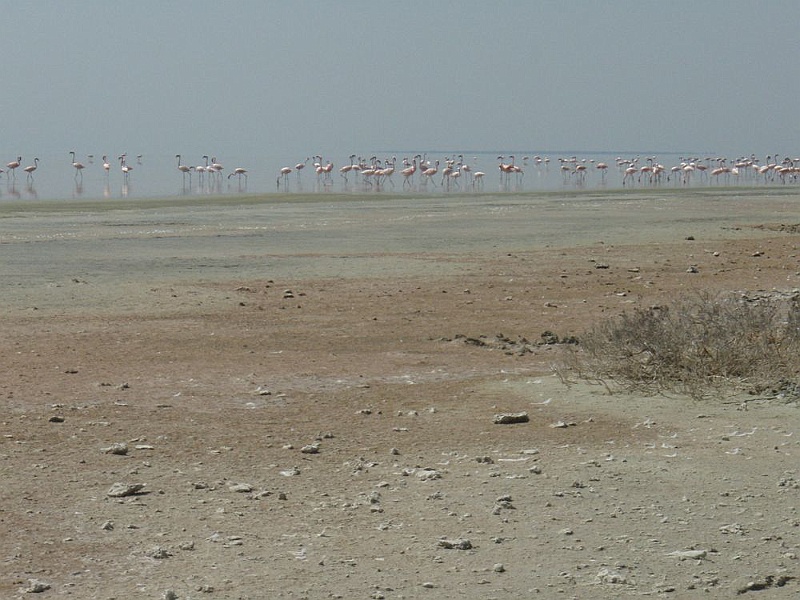 NAMIIA 2011 233.jpg